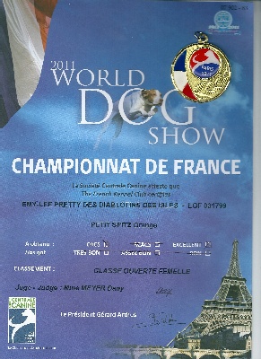 de Mingyar - WORLD DOG SHOW 2011